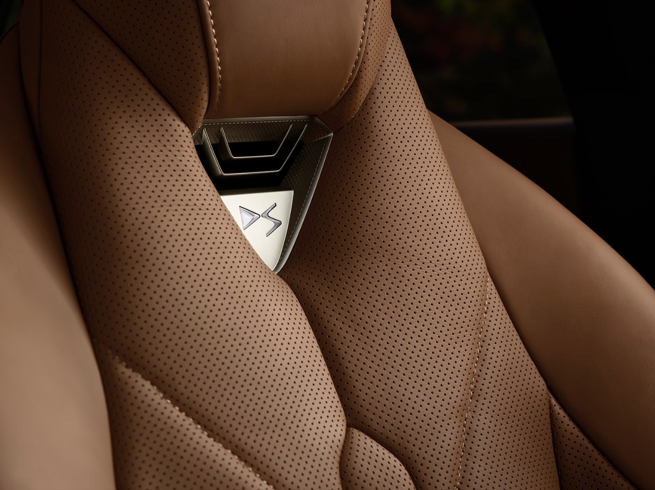  Calentador de cuello de DS N°8